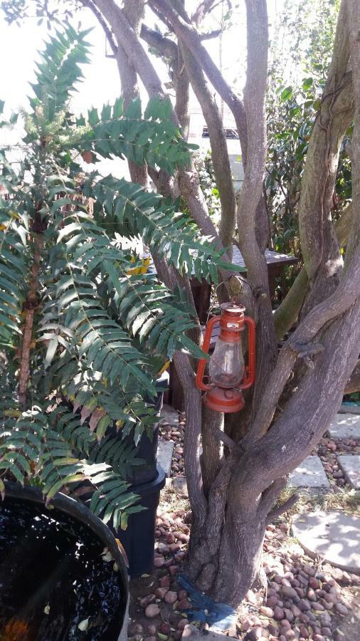 Pennylane Guest House Ermelo Εξωτερικό φωτογραφία